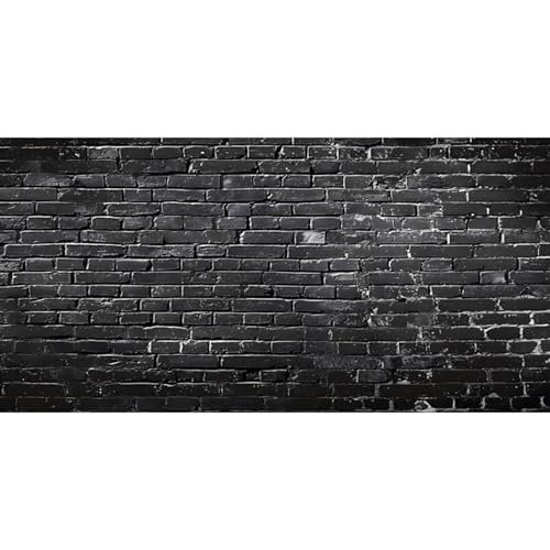 MIRRORANG 120x46cm Schwarze Backsteinmauer Reptil Terrarium Aquarium Hintergrund Rustikale Textur Aquarium Hintergrund Bartagame Vivarium Hintergrund Vinyl von MIRRORANG