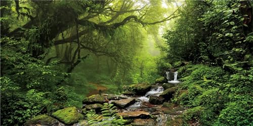 MIRRORANG 120x46cm Tropischer Regenwald Terrarium Hintergrund Wasserfall Aquarium Hintergrund See Wasser Nebel Grüner Baum Reptilien Lebensraum Hintergrund Haltbarer Vinyl Hintergrund MIRRORANG 120x46cm Tropischer Regenwald Terrarium Hintergrund Wasserfall Aquarium Hintergrund See Wasser Nebel Grüner Baum Reptilien Lebensraum Hintergrund Haltbarer Vinyl Hintergrund von MIRRORANG