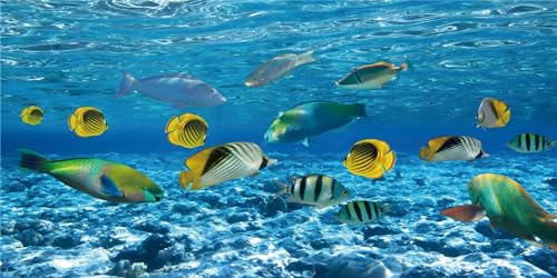 MIRRORANG 120x46cm Unterwasser-Thema Aquarium Hintergrund Tropische Fische Blauer Ozean Unterwasserwelt Aquarium Hintergrund von MIRRORANG