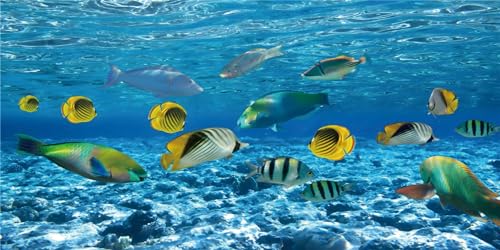 MIRRORANG 120x46cm Unterwasser-Thema Aquarium Hintergrund Tropische Fische Blauer Ozean Unterwasserwelt Aquarium Hintergrund MIRRORANG 120x46cm Unterwasser-Thema Aquarium Hintergrund Tropische Fische Blauer Ozean Unterwasserwelt Aquarium Hintergrund von MIRRORANG