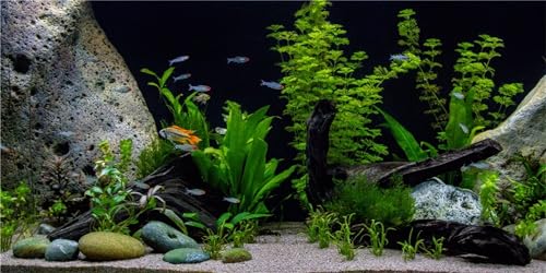 MIRRORANG 120x46cm Vinyl Unterwasser Wasserpflanze Aquarium Hintergrund Stein Fluss Bett & See Aquarium Hintergrund von MIRRORANG