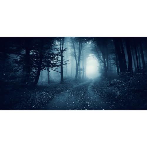 MIRRORANG 120x50cm Gruseliger Aquarium Hintergrund mit Wald, Nebel, Weg, Bäumen, Horrornacht, langlebiger Vinyl Aquarium Hintergrund MIRRORANG 120x50cm Gruseliger Aquarium Hintergrund mit Wald, Nebel, Weg, Bäumen, Horrornacht, langlebiger Vinyl Aquarium Hintergrund von MIRRORANG
