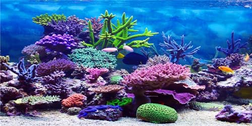 MIRRORANG 120x50cm Haltbares Vinyl Unterwasser Thema Aquarium Hintergrund Bunte Koralle Tropische Fische Unterwasserwelt Aquarium Poster Hintergrund von MIRRORANG