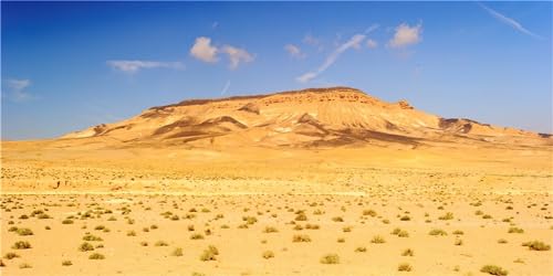 MIRRORANG 120x50cm Langlebige Vinyl Terrarium Hintergrund Blauer Himmel Oase Gobi Orange Wüste Reptil Lebensraum Hintergrund von MIRRORANG