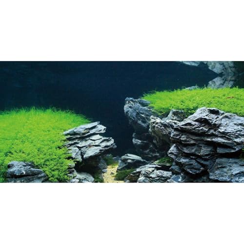 MIRRORANG 120x50cm Stein Aquarium Hintergrund Stein Wasserpflanze Flussbett & See Seetang Aquarium Vinyl Hintergrund Aquarium Hintergrund MIRRORANG 120x50cm Stein Aquarium Hintergrund Stein Wasserpflanze Flussbett & See Seetang Aquarium Vinyl Hintergrund Aquarium Hintergrund von MIRRORANG
