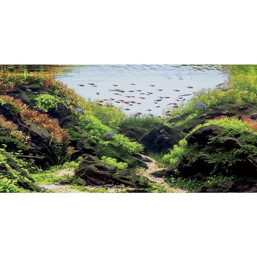 MIRRORANG 120x50cm Stein Aquarium Hintergrund Wasserpflanze Flussbett & See Aquarium Hintergrund Seetang Aquarium Hintergrund Vinyl Hintergrund MIRRORANG 120x50cm Stein Aquarium Hintergrund Wasserpflanze Flussbett & See Aquarium Hintergrund Seetang Aquarium Hintergrund Vinyl Hintergrund von MIRRORANG