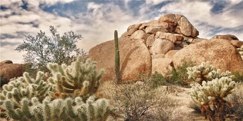 MIRRORANG 120x50cm Strapazierfähiges Vinyl Terrarium Hintergrund Blauer Himmel Felsen Riesiger Kaktus Gobi Sonne und Wüste Reptil Lebensraum Hintergrund von MIRRORANG