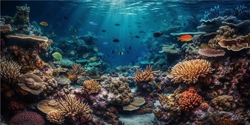 MIRRORANG 120x50cm Unterwasser-Thema Aquarium Hintergrund Bunte Koralle Tropische Fische Unterwasserwelt Aquarium Hintergrund von MIRRORANG