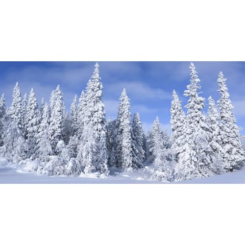 MIRRORANG 120x50cm Weiße Schneelandschaft als Aquarium Hintergrund für Neujahrsdeko, Winterliche Schneebedeckte Bäume, Wald Aquarium Hintergrund, Vinyl von MIRRORANG