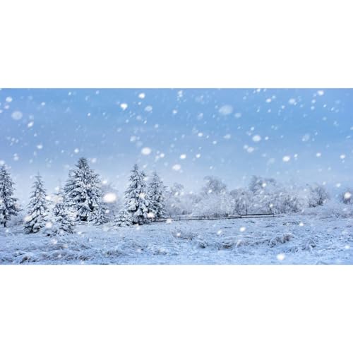 MIRRORANG 120x50cm Winterliche Schneelandschaft als Aquarium Hintergrund für Neujahrsdeko, Weißer Schneebedeckter Wald Aquarium Hintergrund, Vinyl MIRRORANG 120x50cm Winterliche Schneelandschaft als Aquarium Hintergrund für Neujahrsdeko, Weißer Schneebedeckter Wald Aquarium Hintergrund, Vinyl von MIRRORANG