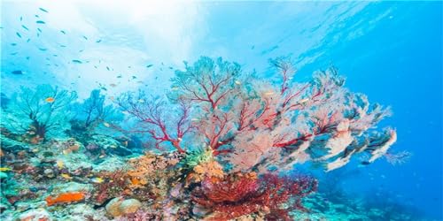 MIRRORANG 120x61cm Aquarium Dekor Hintergrund Koralle Tropische Fische Unterwasser Fisch Tank Hintergrund Langlebig Vinyl Hintergrund von MIRRORANG