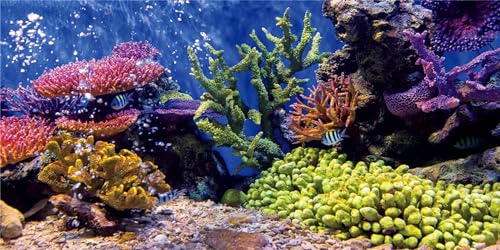 MIRRORANG 120x61cm Langlebige Vinyl Aquarium Dekor Hintergrund Koralle Tropische Fische Unterwasser Fisch Tank Poster Hintergrund von MIRRORANG