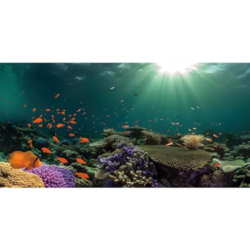 MIRRORANG 120x61cm Ozean Boden Aquarium Hintergrund Unterwasser Thema Aquarium Hintergrund Unterwasser Sonne Fisch Tank Hintergrund MIRRORANG 120x61cm Ozean Boden Aquarium Hintergrund Unterwasser Thema Aquarium Hintergrund Unterwasser Sonne Fisch Tank Hintergrund von MIRRORANG