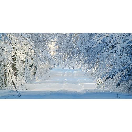 MIRRORANG 120x61cm Starker Schneefall, Naturlandschaft, Winter, schneebedeckte Straße, Kiefernwald, Aquarium Hintergrund, saisonale Dekoration, Vinyl MIRRORANG 120x61cm Starker Schneefall, Naturlandschaft, Winter, schneebedeckte Straße, Kiefernwald, Aquarium Hintergrund, saisonale Dekoration, Vinyl von MIRRORANG