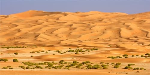 MIRRORANG 120x61cm Terrarium Hintergrund Gobi Oase Orange Wüste Reptilien Lebensraum Hintergrund Langlebig Vinyl Hintergrund von MIRRORANG