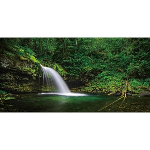 MIRRORANG 120x61cm Wald See Reptil Terrarium Aquarium Hintergrund Wasserfälle Bäume Reflexion Fisch Tank Hintergrund Bartagame Vivarium Hintergrund Vinyl von MIRRORANG