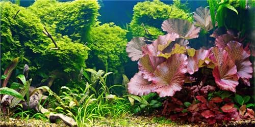 MIRRORANG 120x61cm Wasserpflanze Terrarium Aquarium Hintergrund Flussbett & See Aquarium Hintergrund Bartagame Vivarium Hintergrund Vinyl von MIRRORANG