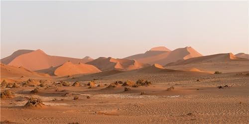 MIRRORANG 180x46cm Terrarium Hintergrund Gobi Oase Sonne und Wüste Reptilien Lebensraum Hintergrund Durable Vinyl Hintergrund von MIRRORANG