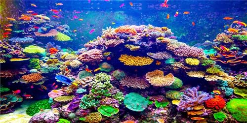 MIRRORANG 180x46cm Unterwasser-Thema Aquarium Hintergrund Durable Vinyl Hintergrund Bunte Koralle Tropische Fische Unterwasserwelt Aquarium Hintergrund von MIRRORANG