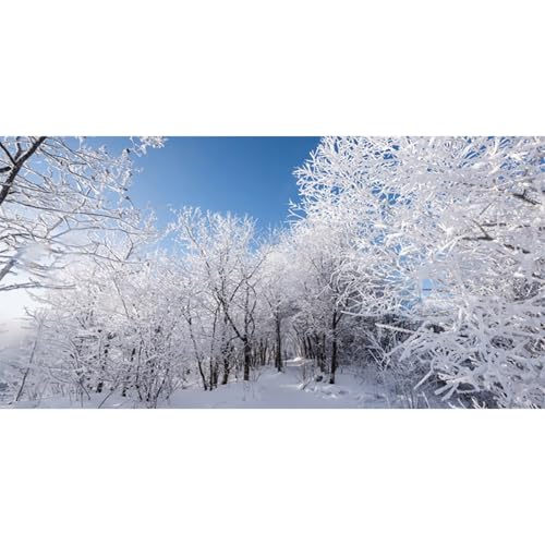 MIRRORANG 180x46cm Verschneite Waldlandschaft, Aquarium Hintergrund mit Winter Schneebedeckten Bäumen, Neujahr, Aquarium Hintergrund aus Vinyl MIRRORANG 180x46cm Verschneite Waldlandschaft, Aquarium Hintergrund mit Winter Schneebedeckten Bäumen, Neujahr, Aquarium Hintergrund aus Vinyl von MIRRORANG