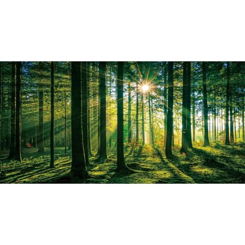 MIRRORANG 180x46cm Verzauberter Wald Reptil Terrarium Aquarium Hintergrund Sonnenschein Bäume Magische Natur Fisch Tank Hintergrund Bartagame Vivarium Hintergrund Vinyl MIRRORANG 180x46cm Verzauberter Wald Reptil Terrarium Aquarium Hintergrund Sonnenschein Bäume Magische Natur Fisch Tank Hintergrund Bartagame Vivarium Hintergrund Vinyl von MIRRORANG
