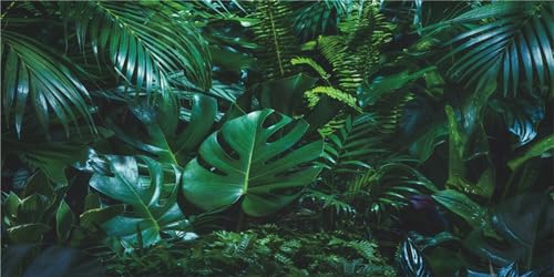 MIRRORANG 180x46cm Wald Reptilien Terrarium Aquarium Hintergrund Grün Tropische Palmenblätter Aquarium Hintergrund Bartagame Vivarium Hintergrund Vinyl MIRRORANG 180x46cm Wald Reptilien Terrarium Aquarium Hintergrund Grün Tropische Palmenblätter Aquarium Hintergrund Bartagame Vivarium Hintergrund Vinyl von MIRRORANG