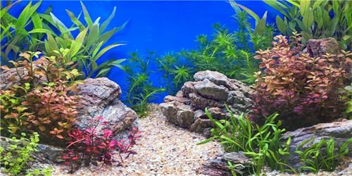 MIRRORANG 180x46cm Wasserpflanze Aquarium Hintergrund Stein Flussbett & See Aquarium Hintergrund Vinyl von MIRRORANG