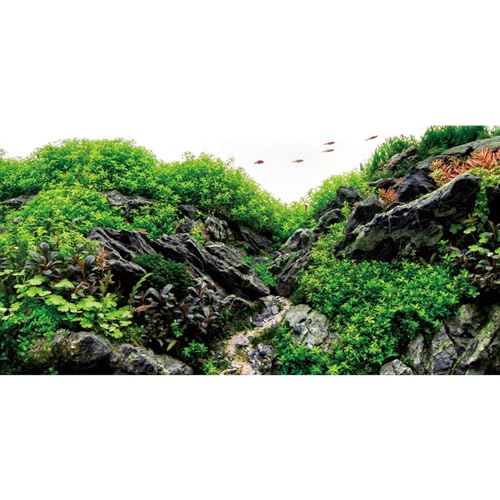 MIRRORANG 180x61cm Seegras Aquarium Hintergrund Stein Aquarium Hintergrund Flussbett & See Aquarium Hintergrund Vinyl Hintergrund von MIRRORANG