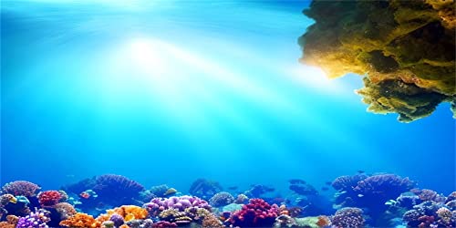 MIRRORANG 180x61cm Unterwasser Aquarium Hintergrund Sonnenschein Blau Meer Korallenriff Unterwasserwelt Aquarium Poster Hintergrund von MIRRORANG