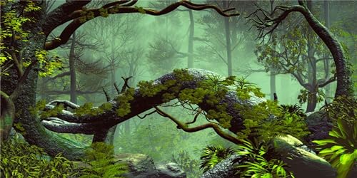 MIRRORANG 61x30cm Foggy Forest Terrarium Hintergrund Stein Grüner Baum Tropische Reptilien Lebensraum Hintergrund Regenwald Aquarium Hintergrund Vinyl Hintergrund von MIRRORANG