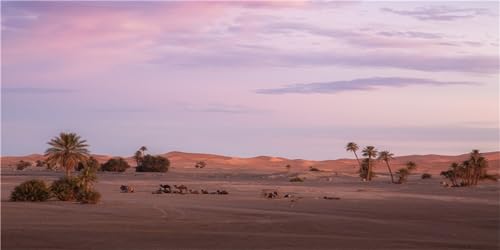 MIRRORANG 61x30cm Sonne und Wüste Terrarium Hintergrund Bäume Oase Gobi Wüste Reptilien Lebensraum Hintergrund Durable Vinyl Hintergrund von MIRRORANG