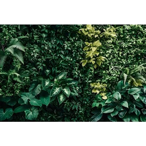 MIRRORANG 61x30cm Tropische Pflanzen Aquarium Hintergrund Tropische Grüne Blätter Terrarium Hintergrund Regenwald Reptilien Lebensraum Hintergrund von MIRRORANG