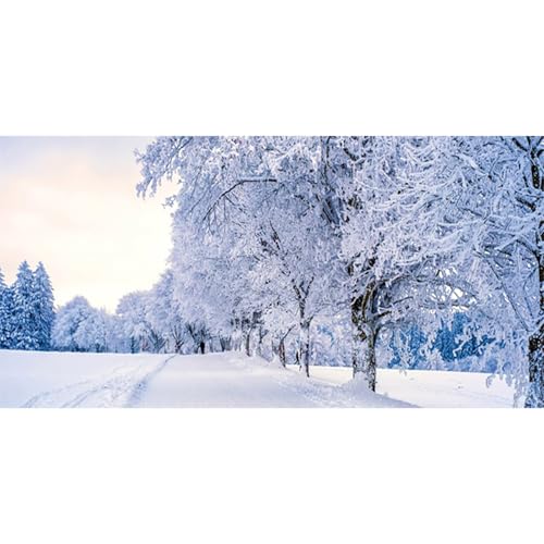 MIRRORANG 61x30cm Weißer, verschneiter Aquarium Hintergrund mit Winter Kiefernwald und Neujahr, langlebiger Aquarium Hintergrund aus Vinyl MIRRORANG 61x30cm Weißer, verschneiter Aquarium Hintergrund mit Winter Kiefernwald und Neujahr, langlebiger Aquarium Hintergrund aus Vinyl von MIRRORANG