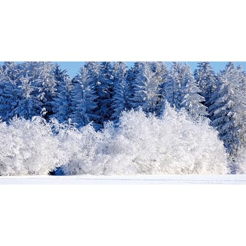 MIRRORANG 61x30cm Winterlicher, weißer, verschneiter Landschafts Aquarium Hintergrund, schneebedeckte Kiefern, Wald, Aquarium Dekorationshintergrund, Vinyl von MIRRORANG