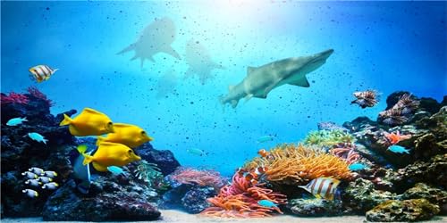 MIRRORANG 61x41cm Aquarium Hintergrund Koralle Tropische Fische Riff Unterwasserwelt Aquarium Hintergrund Langlebig Vinyl von MIRRORANG