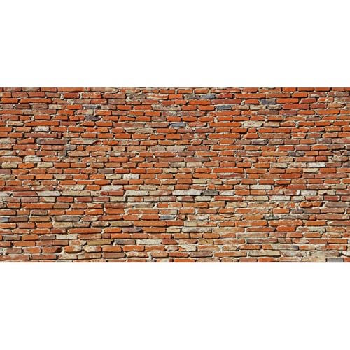 MIRRORANG 61x41cm Backsteinmauer Reptil Terrarium Aquarium Hintergrund Rustikales Aquarium Hintergrund Bartagame Vivarium Hintergrund Vinyl von MIRRORANG