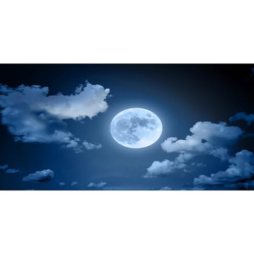 MIRRORANG 61x41cm Dunkler, gruseliger Aquarium Hintergrund, Himmel, Wolken, Vollmond, Horrornacht, Halloween, Vinyl, langlebiger Aquarium Hintergrund MIRRORANG 61x41cm Dunkler, gruseliger Aquarium Hintergrund, Himmel, Wolken, Vollmond, Horrornacht, Halloween, Vinyl, langlebiger Aquarium Hintergrund von MIRRORANG