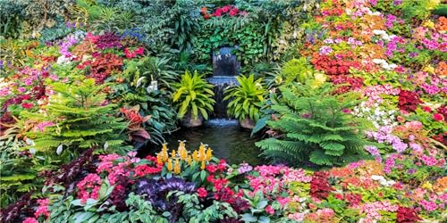 MIRRORANG 61x41cm Frühling Floral Terrarium Hintergrund Wasserfall Bunte Blumen Blätter Wald Natur Landschaft Aquarium Hintergrund Vinyl Hintergrund MIRRORANG 61x41cm Frühling Floral Terrarium Hintergrund Wasserfall Bunte Blumen Blätter Wald Natur Landschaft Aquarium Hintergrund Vinyl Hintergrund von MIRRORANG
