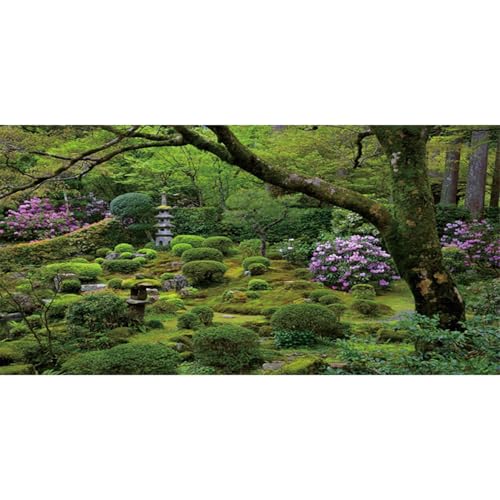 MIRRORANG 61x41cm Garten Reptilien Lebensraum Terrarium Aquarium Hintergrund Lebendige Grüns Floral Fisch Tank Hintergrund Bartagame Vivarium Hintergrund Vinyl MIRRORANG 61x41cm Garten Reptilien Lebensraum Terrarium Aquarium Hintergrund Lebendige Grüns Floral Fisch Tank Hintergrund Bartagame Vivarium Hintergrund Vinyl von MIRRORANG