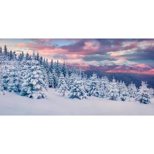 MIRRORANG 61x41cm Kiefernwald, verschneite Gipfel, Aquarium Hintergrund, Winter, schneebedeckte Bäume, Aquarium Hintergrund, Vinyl für saisonale Feiertage MIRRORANG 61x41cm Kiefernwald, verschneite Gipfel, Aquarium Hintergrund, Winter, schneebedeckte Bäume, Aquarium Hintergrund, Vinyl für saisonale Feiertage von MIRRORANG