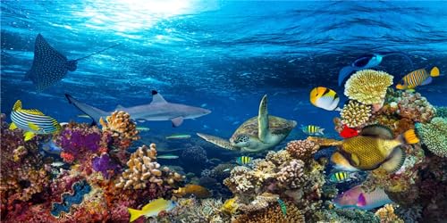 MIRRORANG 61x41cm Langlebige Vinyl Aquarium Hintergrund Koralle Tropische Fische Unterwasserwelt Aquarium Poster Hintergrund von MIRRORANG