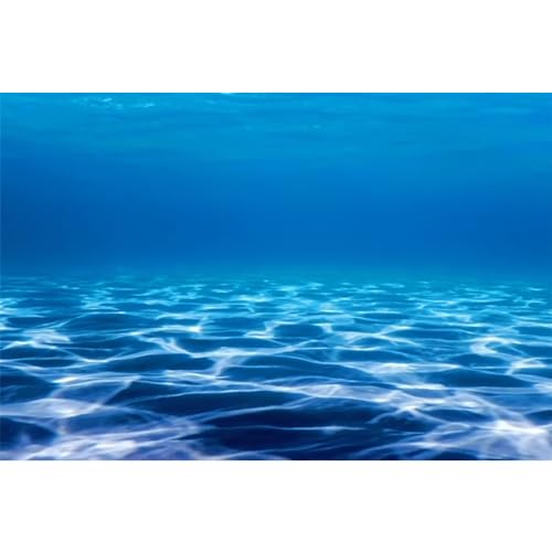 MIRRORANG 61x41cm Unterwasser Thema Aquarium Hintergrund Blaues Meer Unterwasserwelt Aquarium Hintergrund Aquarium Hintergründe von MIRRORANG