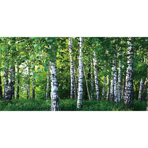 MIRRORANG 61x41cm Wald Reptilien Terrarium Aquarium Hintergrund Bäume Üppiges Grün Aquarium Hintergrund Bartagame Vivarium Hintergrund Vinyl von MIRRORANG