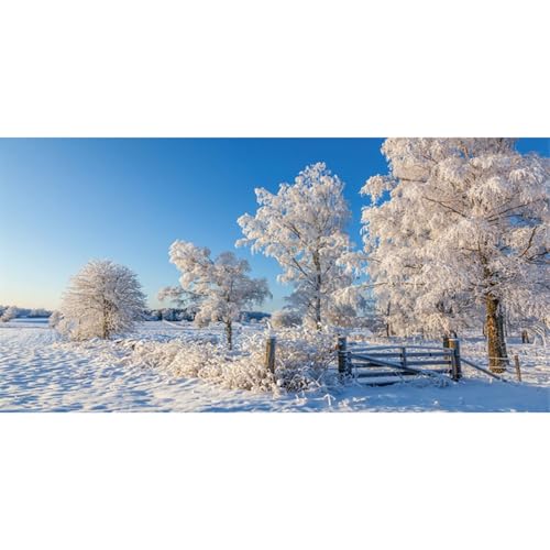 MIRRORANG 61x41cm Winterliche, verschneite Landschaft, Aquarium Hintergrund, weiße, schneebedeckte Erde, Bäume, langlebiger Aquarium Hintergrund, Vinyl MIRRORANG 61x41cm Winterliche, verschneite Landschaft, Aquarium Hintergrund, weiße, schneebedeckte Erde, Bäume, langlebiger Aquarium Hintergrund, Vinyl von MIRRORANG
