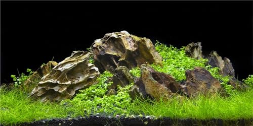 MIRRORANG 76x30cm Aquarium Hintergrund Felsen 3D Berge Gras Terrarium Hintergrund Dekoration Reptilien Tank Hintergründe von MIRRORANG