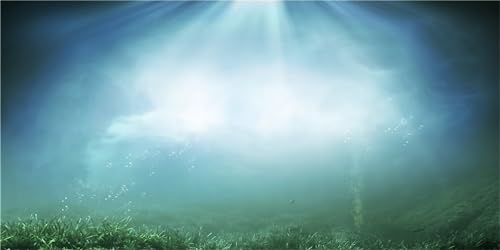 MIRRORANG 76x30cm Aquarium Hintergrund Wasserpflanze Unterwasser Ozean Boden Fisch Tank Hintergrund Langlebig Vinyl Hintergrund von MIRRORANG