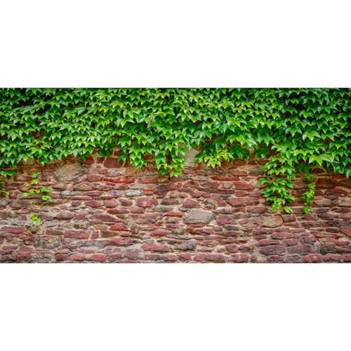MIRRORANG 76x30cm Backsteinmauer Reptil Terrarium Aquarium Hintergrund Rustikal Rot Ziegel Grün Aquarium Hintergrund Bartagame Vivarium Hintergrund Vinyl von MIRRORANG