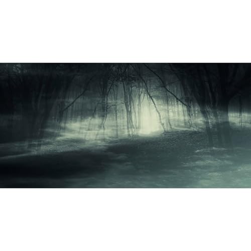 MIRRORANG 76x30cm Dunkler, beängstigender Aquarium Hintergrund, Waldweg, Horror Nachtlandschaft, langlebiger Vinyl Hintergrund für Aquarien von MIRRORANG