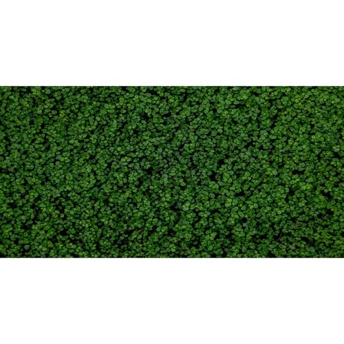 MIRRORANG 76x30cm Grüne Wand Reptilien Terrarium Aquarium Hintergrund Üppiges Grün Aquarium Hintergrund Bartagame Vivarium Hintergrund Vinyl von MIRRORANG