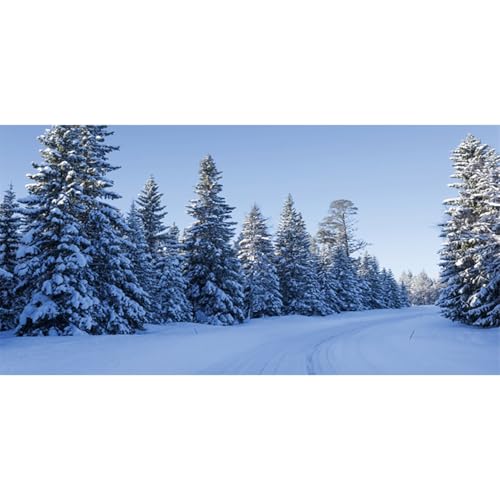 MIRRORANG 76x30cm Naturaler, verschneiter Landschafts Aquarium Hintergrund, weiße, schneebedeckte Straße, Wald, Kiefern, Neujahrs Aquarium Hintergrund, Vinyl von MIRRORANG